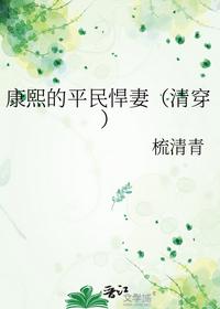 康熙的平民悍妻（清穿）